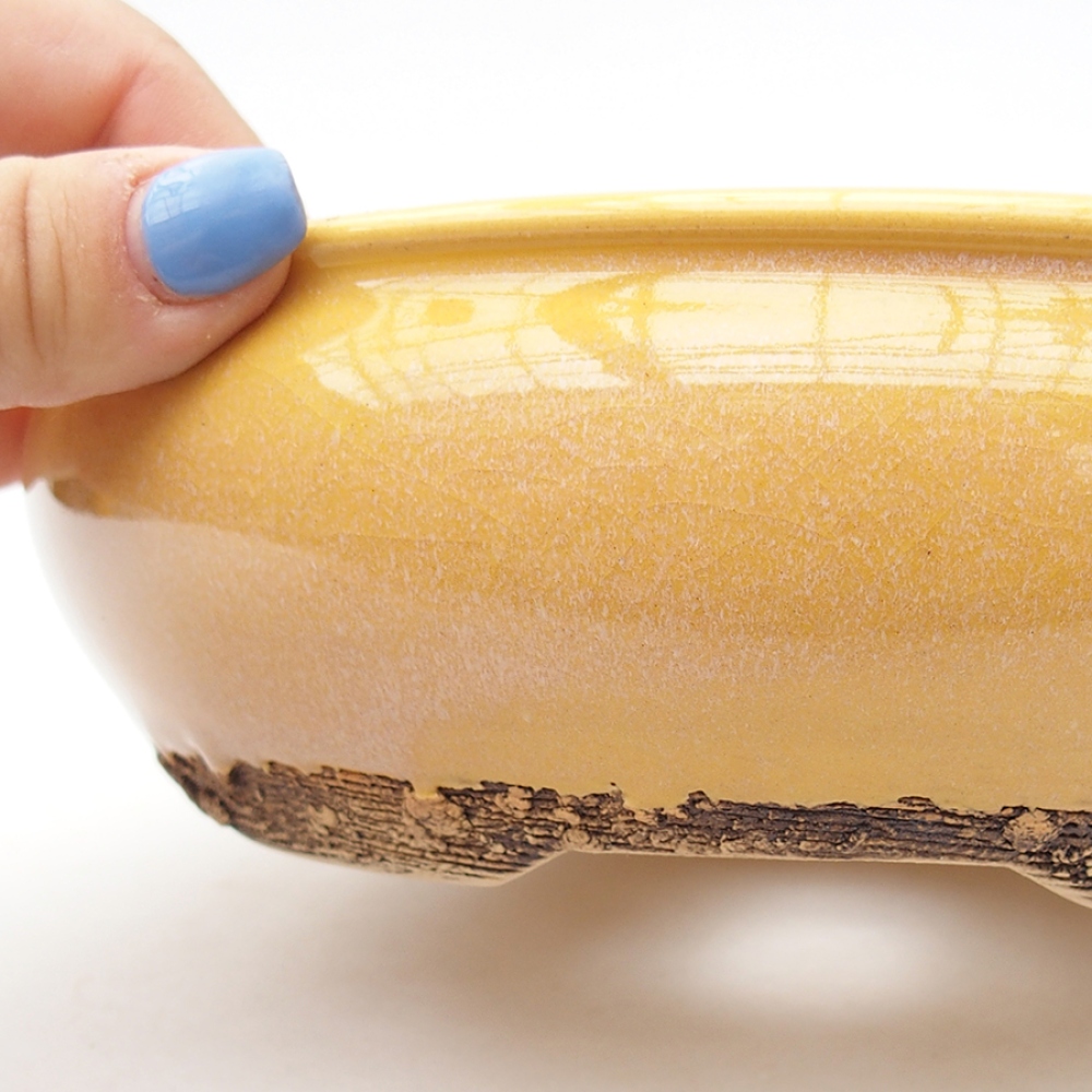 Cuenco bonsái de cerámica 18,5 x 18,5 x 6 cm, amarillo