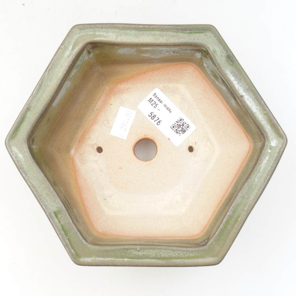 Cuenco bonsái de cerámica 22 x 17 x 5 cm, verde