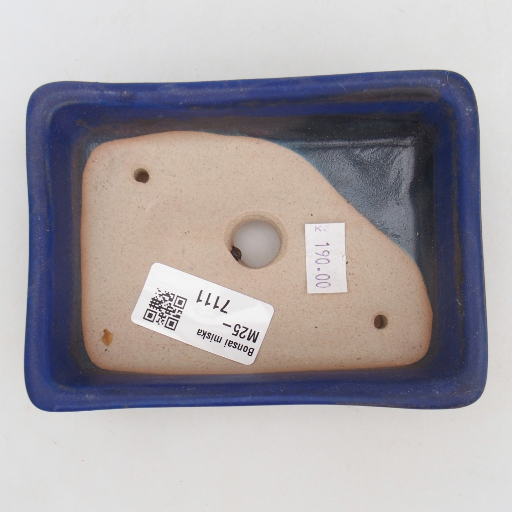 Cuenco bonsái de cerámica 11,5 x 9,5 x 6 cm, color azul