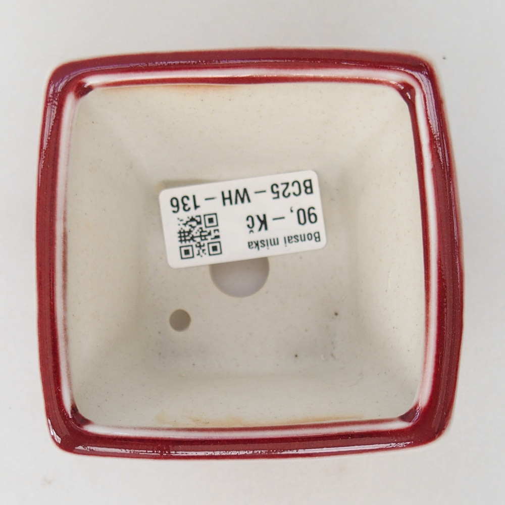 Mini cuenco bonsái 8,5 x 8,5 x 6 cm, color rojo