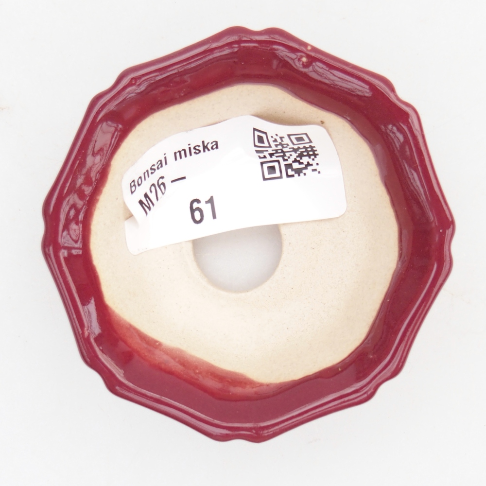 Cuenco mini bonsái 6 x 6 x 2,5 cm, burdeos