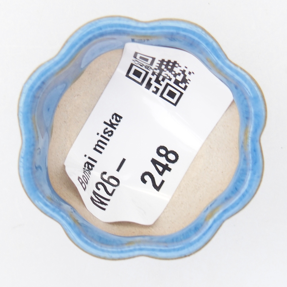 Cuenco mini bonsái 4 x 4 x 2 cm, azul