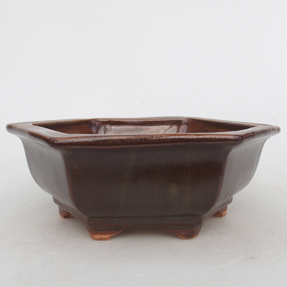 Cuenco bonsái de cerámica 17 x 15 x 6 cm, marrón