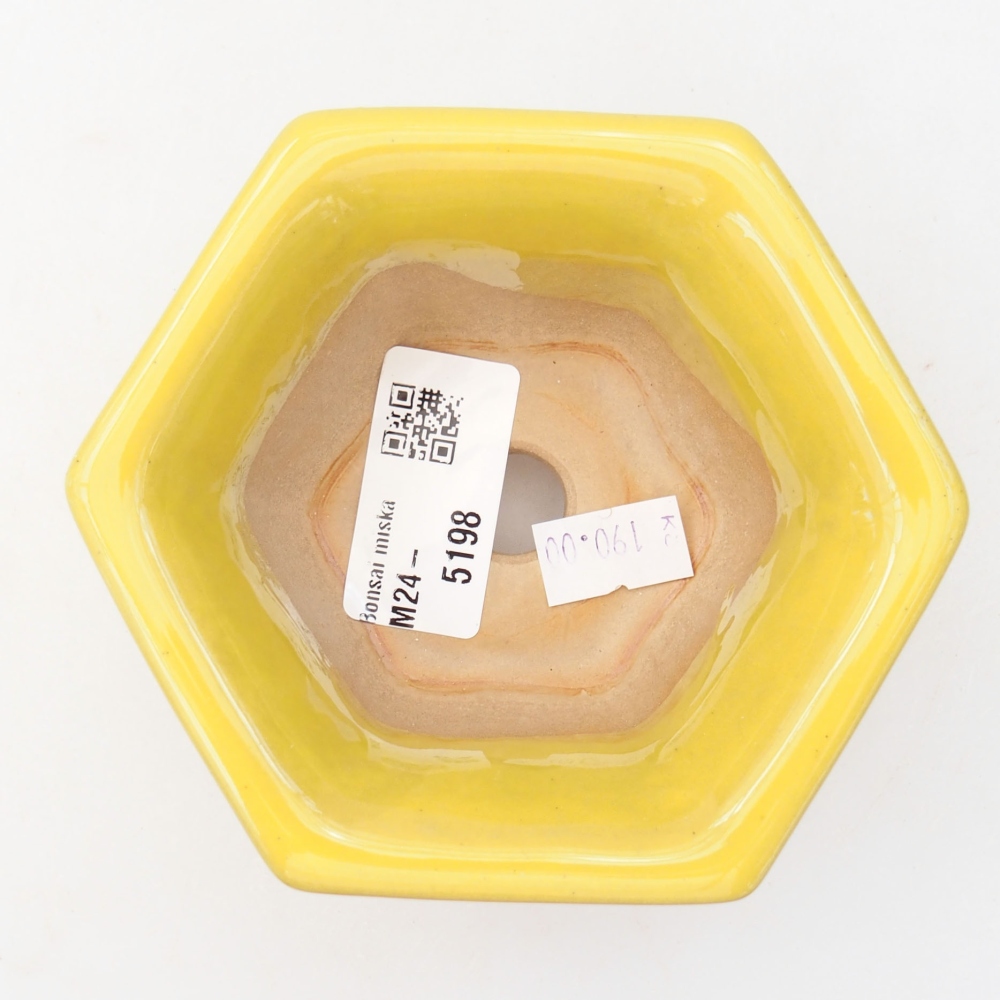 Cuenco bonsái de cerámica 10,5 x 9,5 x 5,5 cm, amarillo