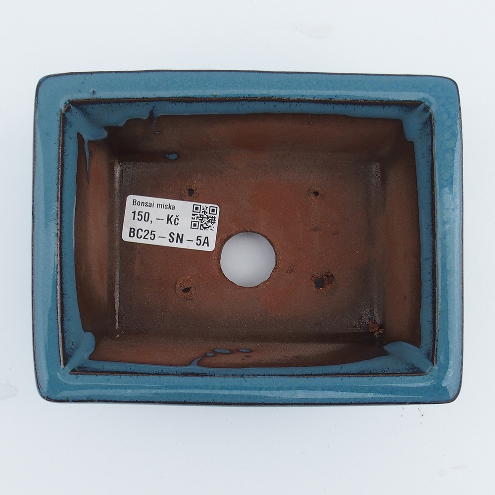 Cuenco 16 x 12,5 x 6,5 cm azul