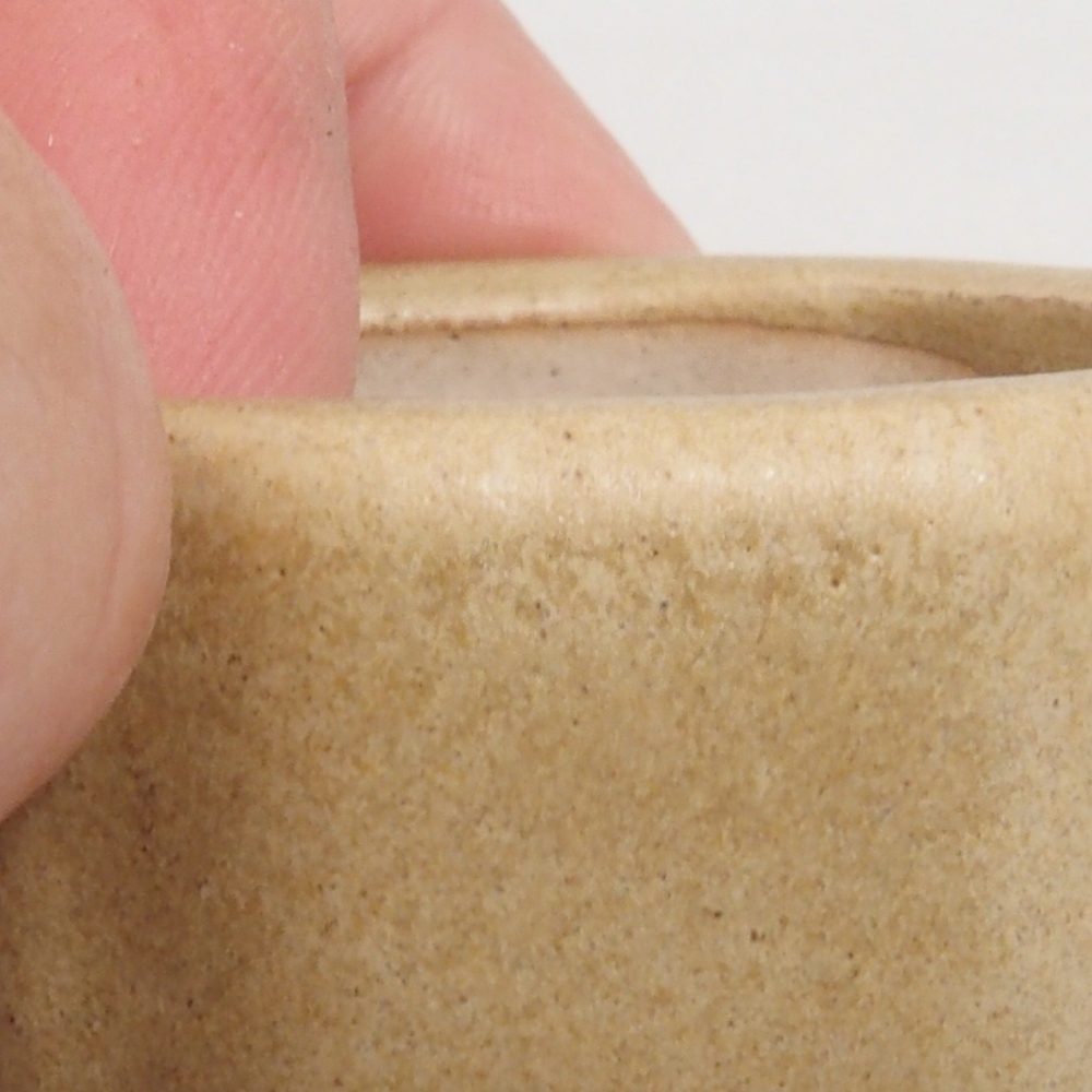 Cuenco mini bonsái 4,5 x 4,5 x 2 cm, marrón