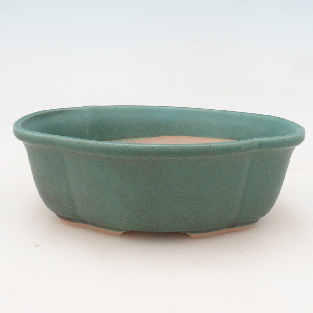 Cuenco bonsái H75 - 19 x 14 x 6,5 cm - verde