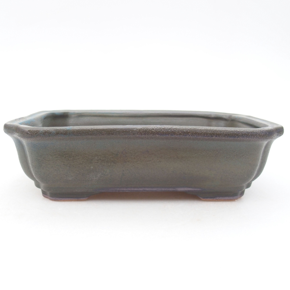 Cuenco bonsái de cerámica 18 x 13,5 x 5 cm, gris