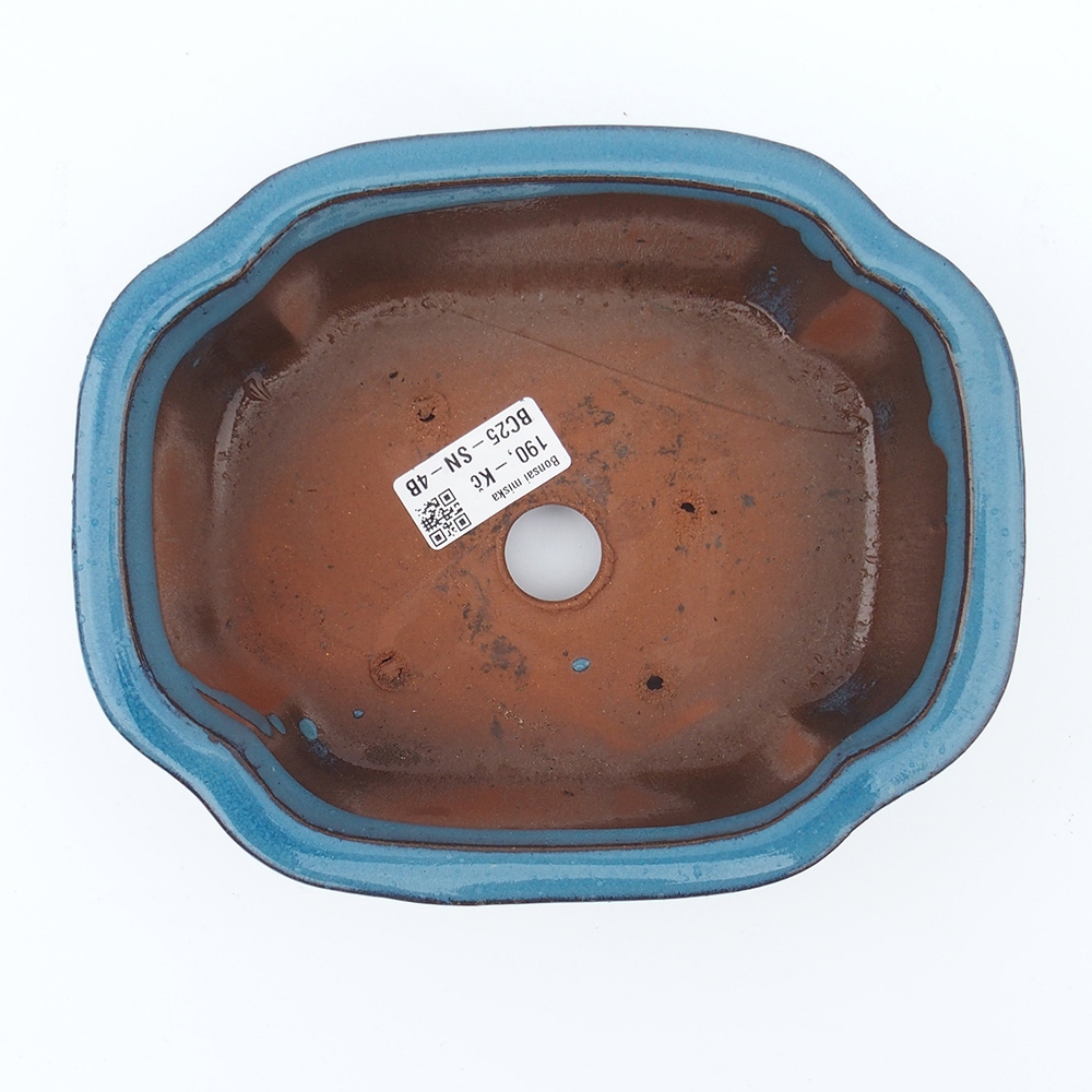 Cuenco 20 x 16 x 6,5 cm azul