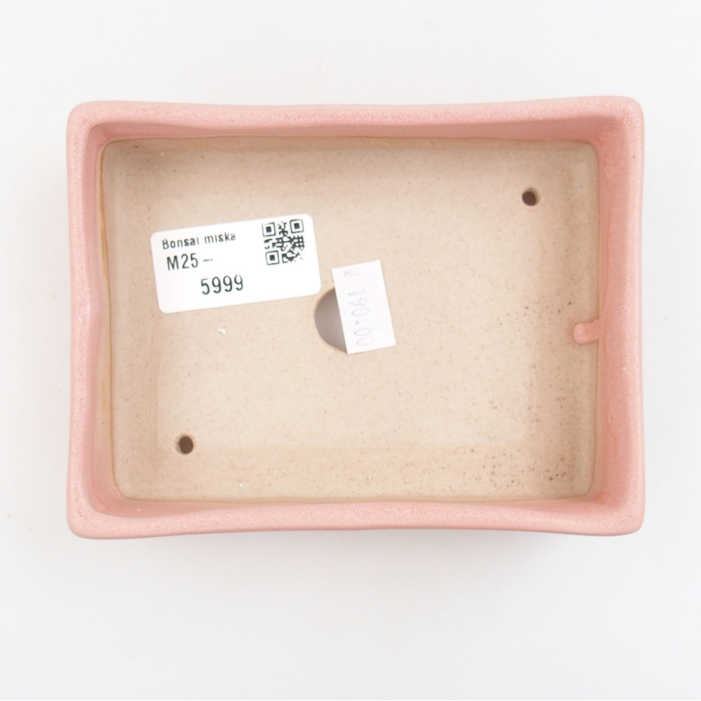 Cuenco bonsái de cerámica 22 x 17 x 5 cm, verde