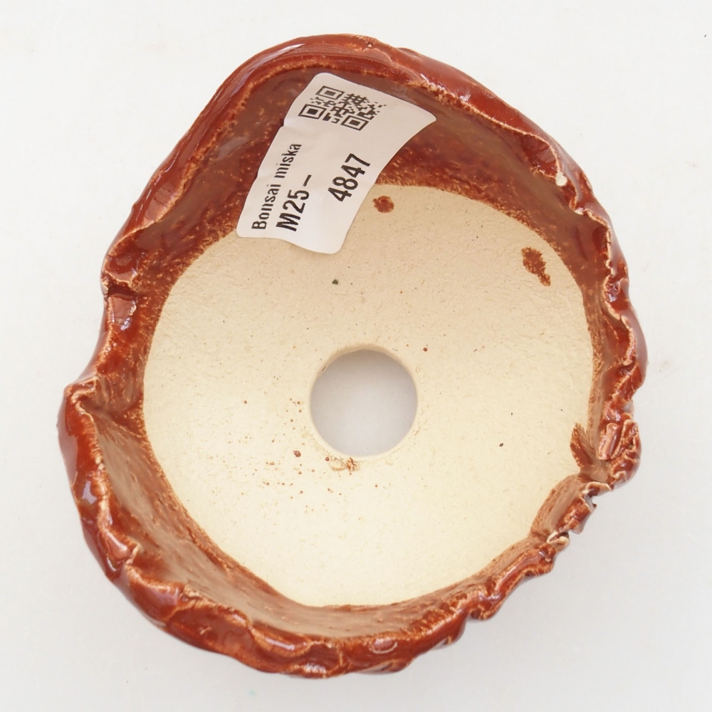 Concha de cerámica 7,5 x 7,5 x 6 cm , color marrón