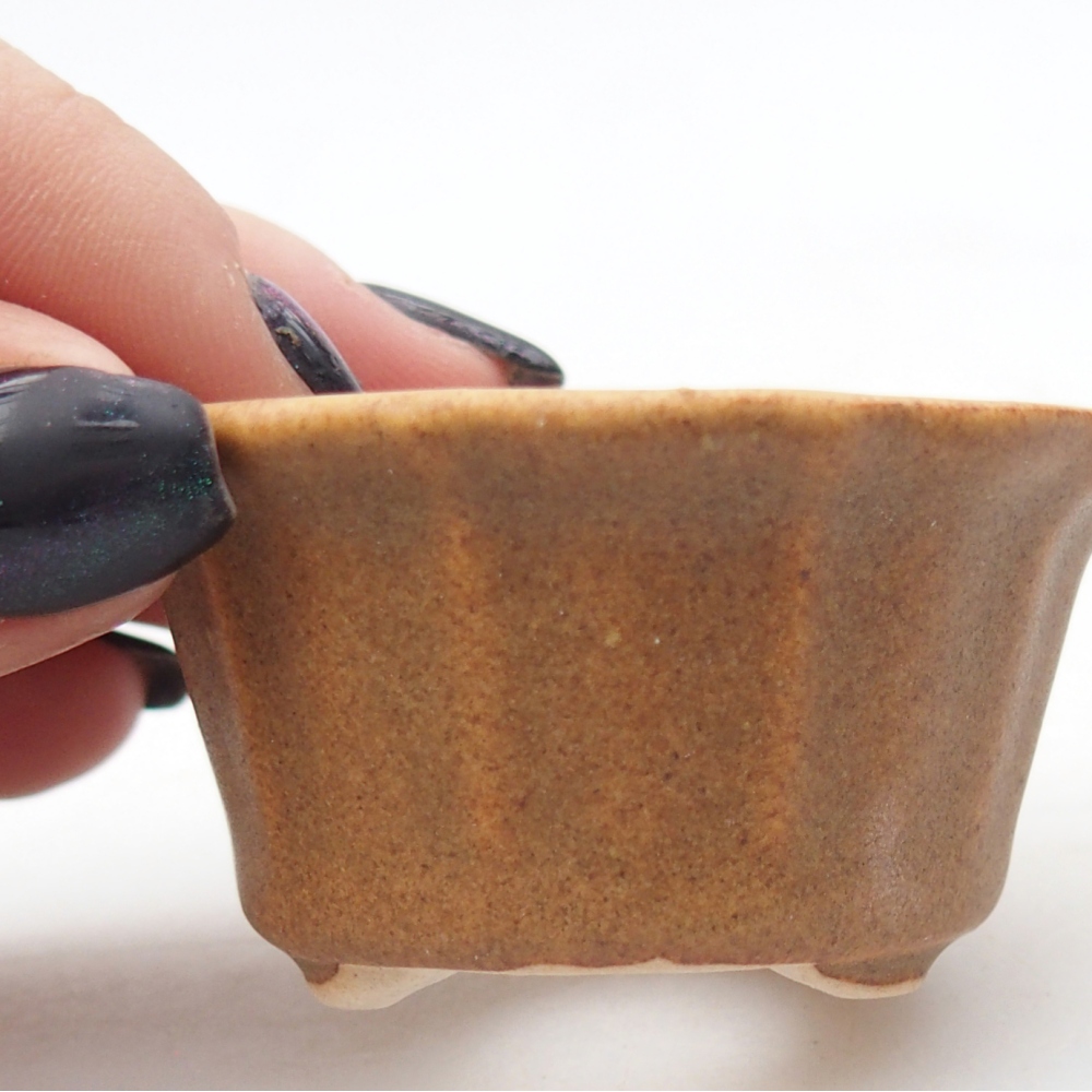 Mini cuenco bonsái 5,5 x 5,5 x 3 cm, marrón