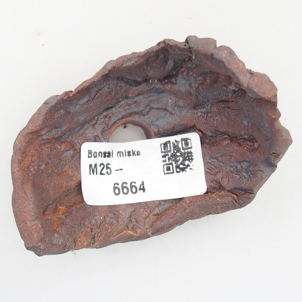 Concha de cerámica 7,5 x 5,5 x 6 cm , color marrón