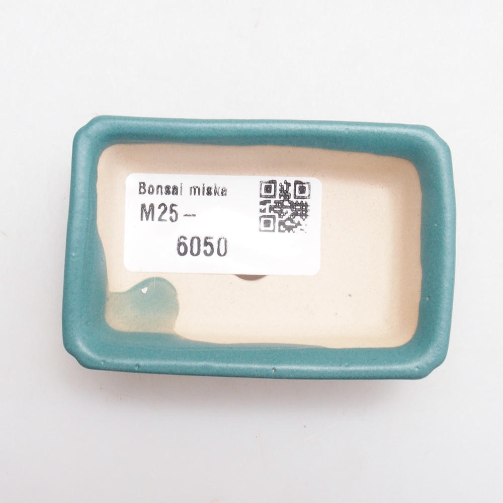 Cuenco bonsái de cerámica 6,5 x 5,5 x 4 cm, color azul