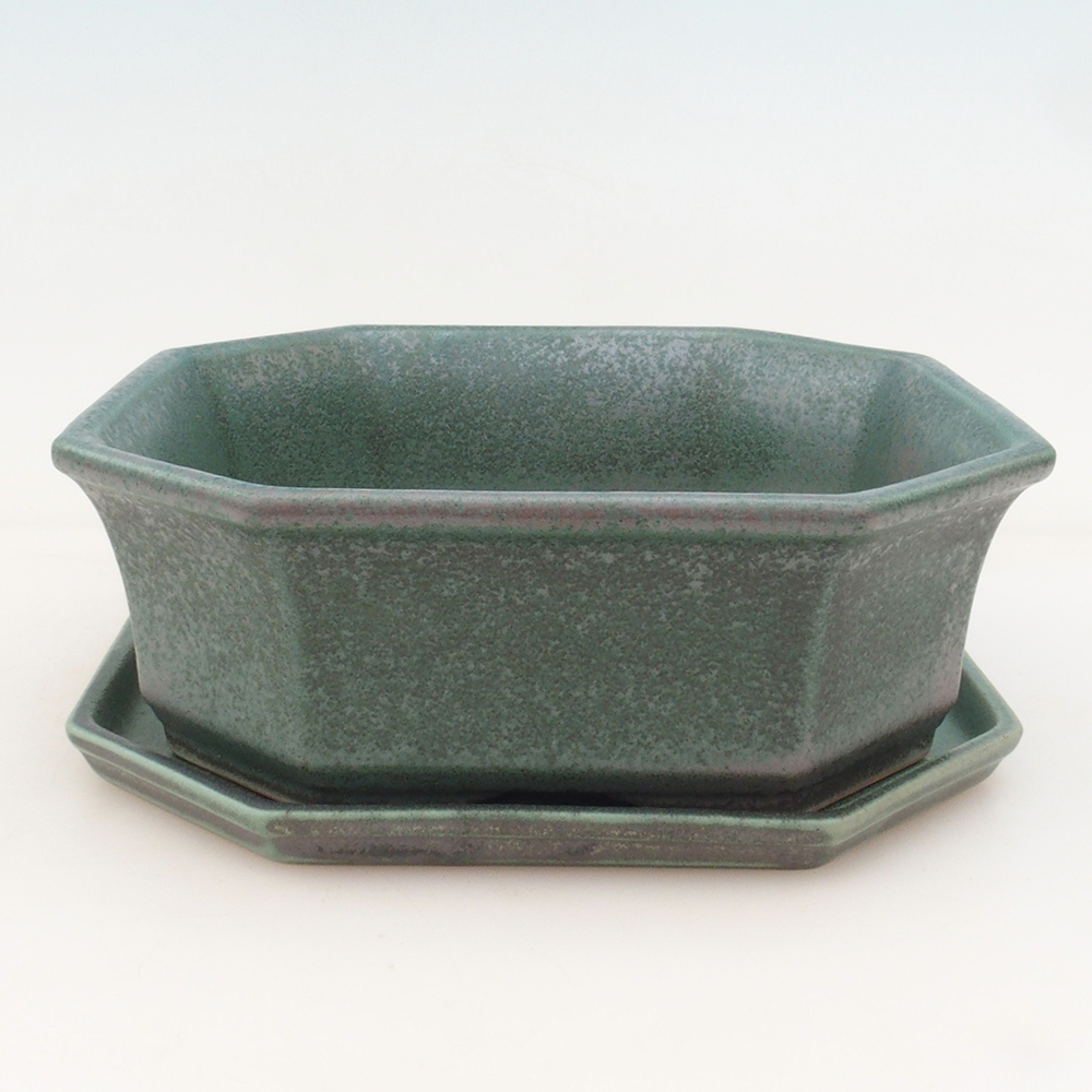 Bonsai cuenco + platillo H14 - verde