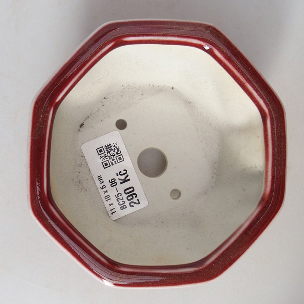 Cuenco bonsái de cerámica 11 x 10 x 5 cm, color rojo