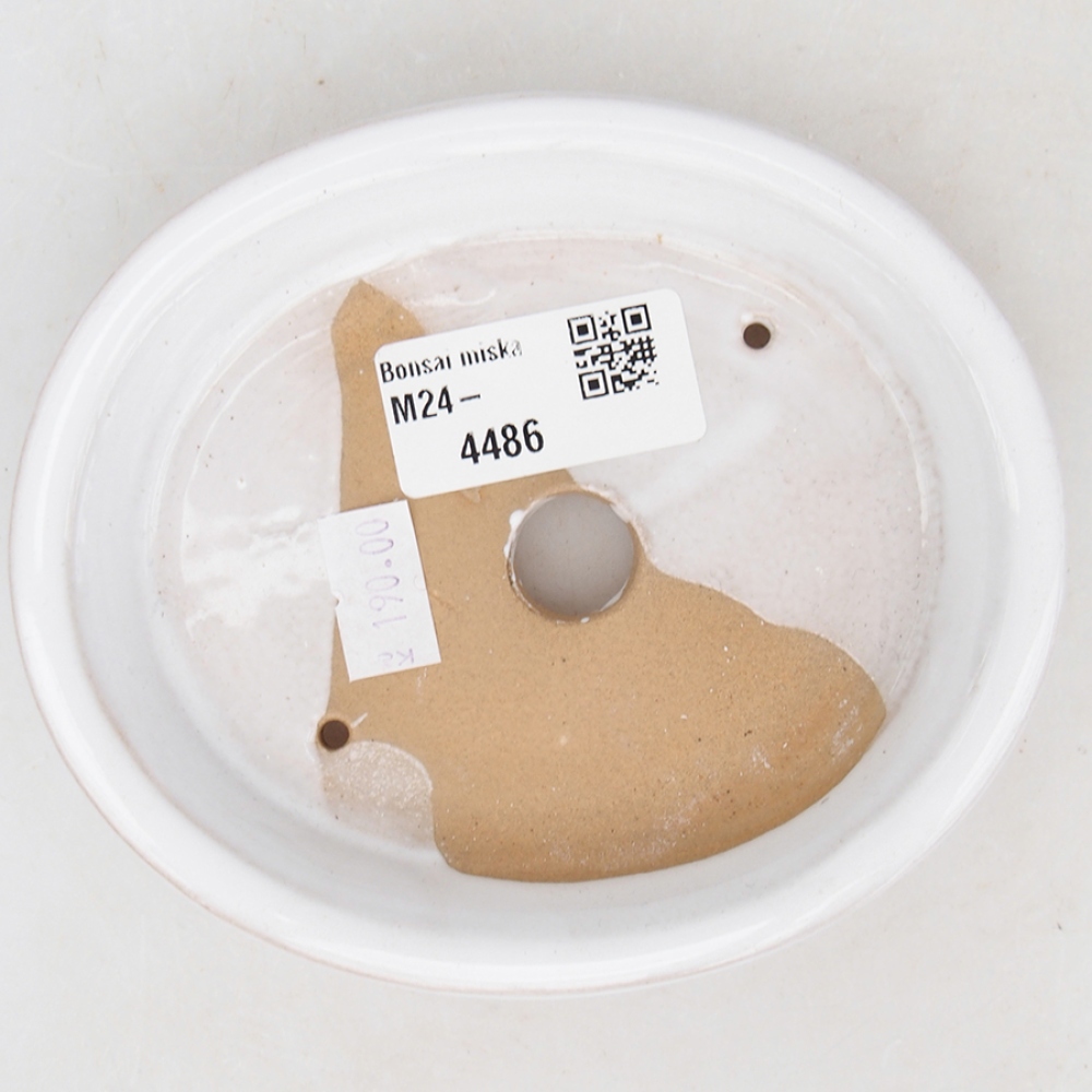 Cuenco bonsái de cerámica 13 x 11 x 2,5 cm, color blanco