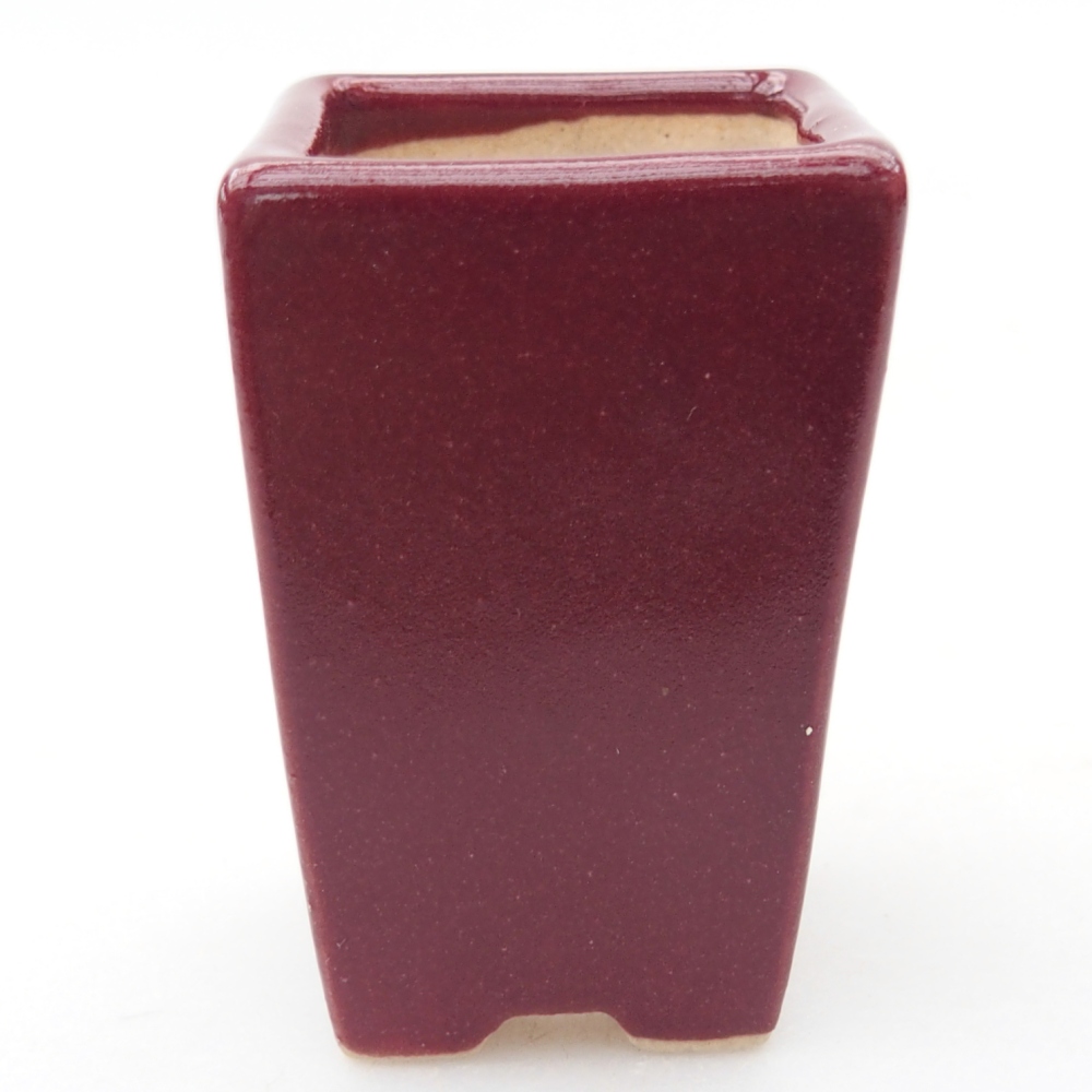 Mini cuenco bonsái 3,5 x 3,5 x 5 cm, color burdeos