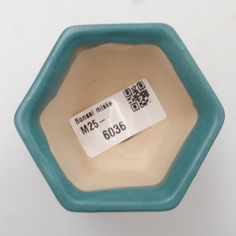 Cuenco bonsái de cerámica 6,5 x 5,5 x 4 cm, color azul