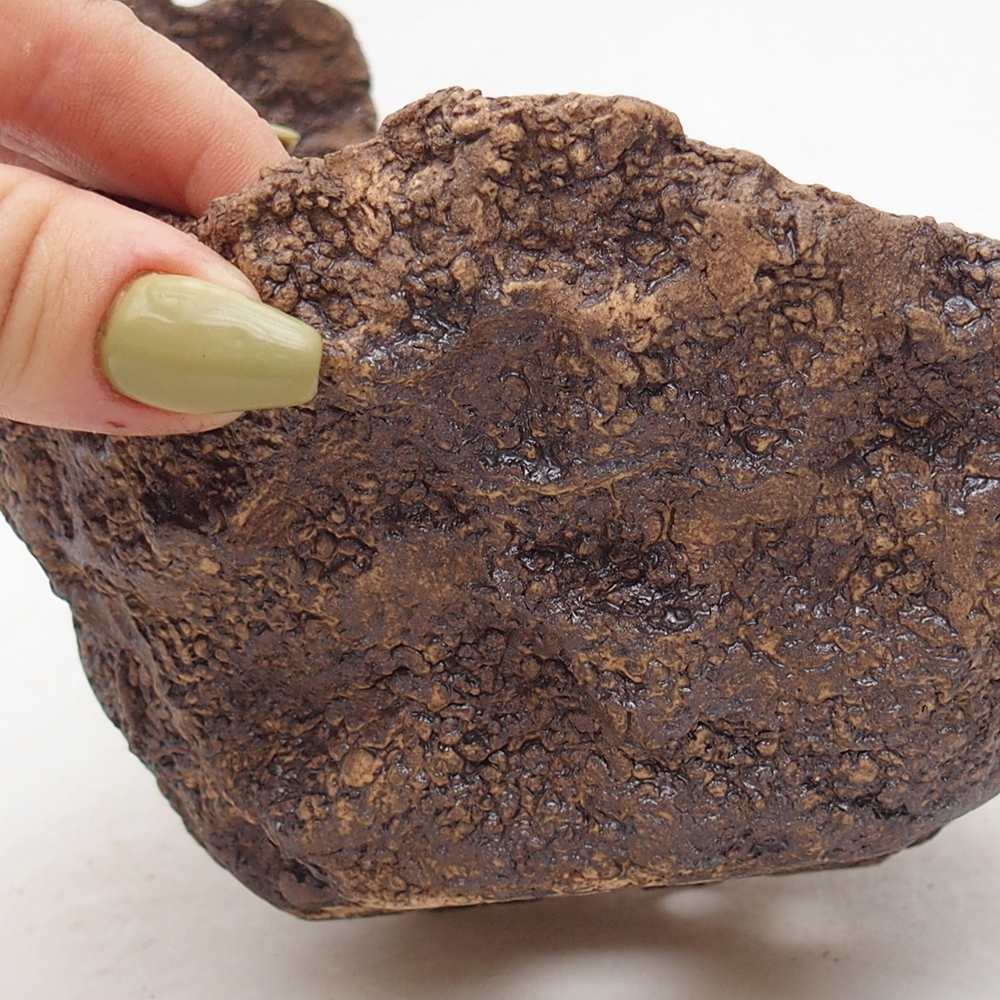 Concha de cerámica 14 x 14 x 13 cm , color marrón