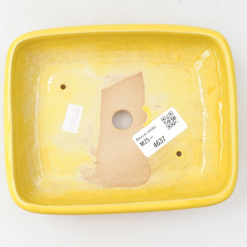 Cuenco bonsái de cerámica 17 x 13,5 x 3,5 cm, amarillo