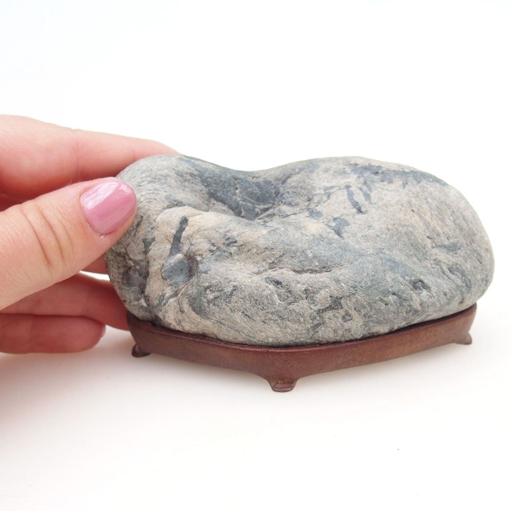 Suiseki - Piedra con DAI (base de madera)