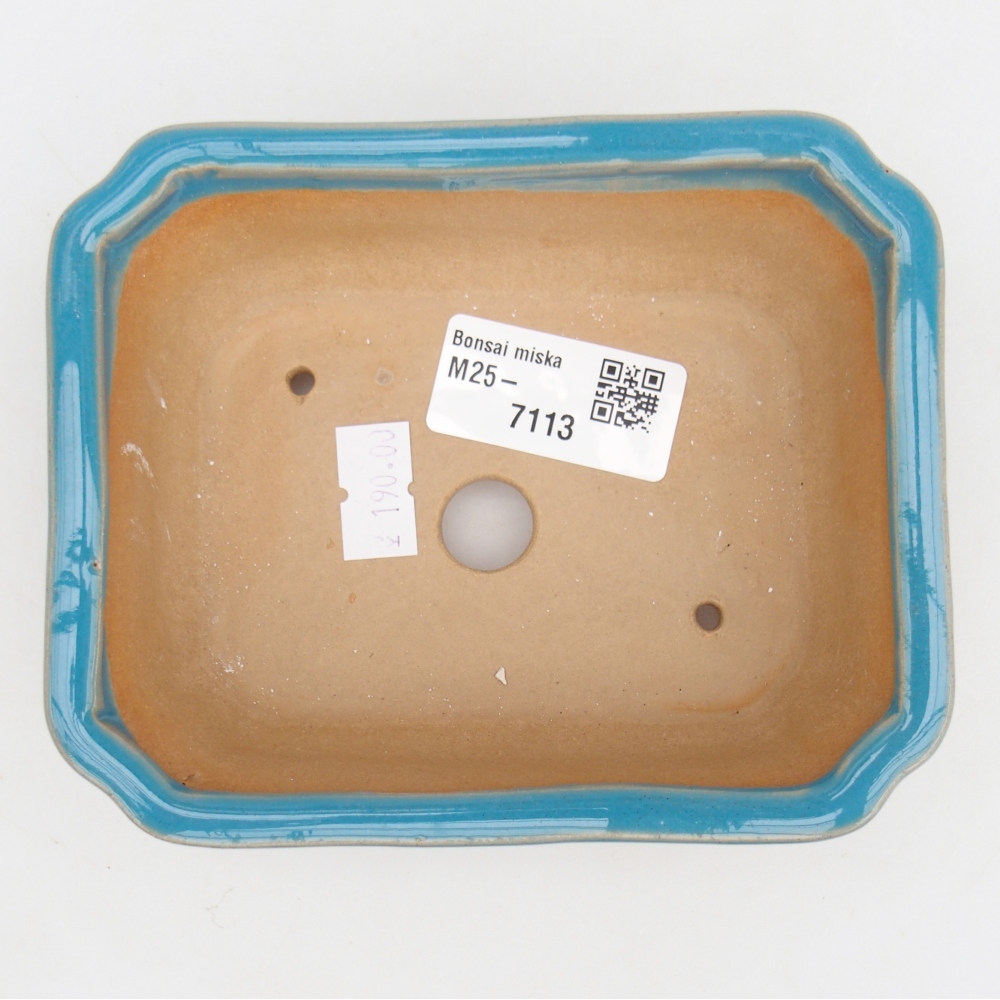 Cuenco bonsái de cerámica 14 x 11 x 4 cm, color azul