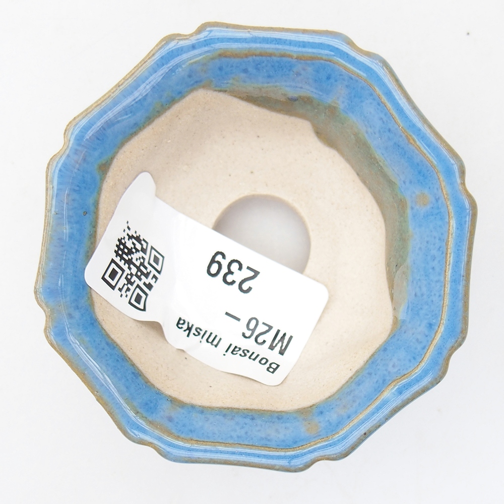 Cuenco mini bonsái 6 x 6 x 2,5 cm, color azul