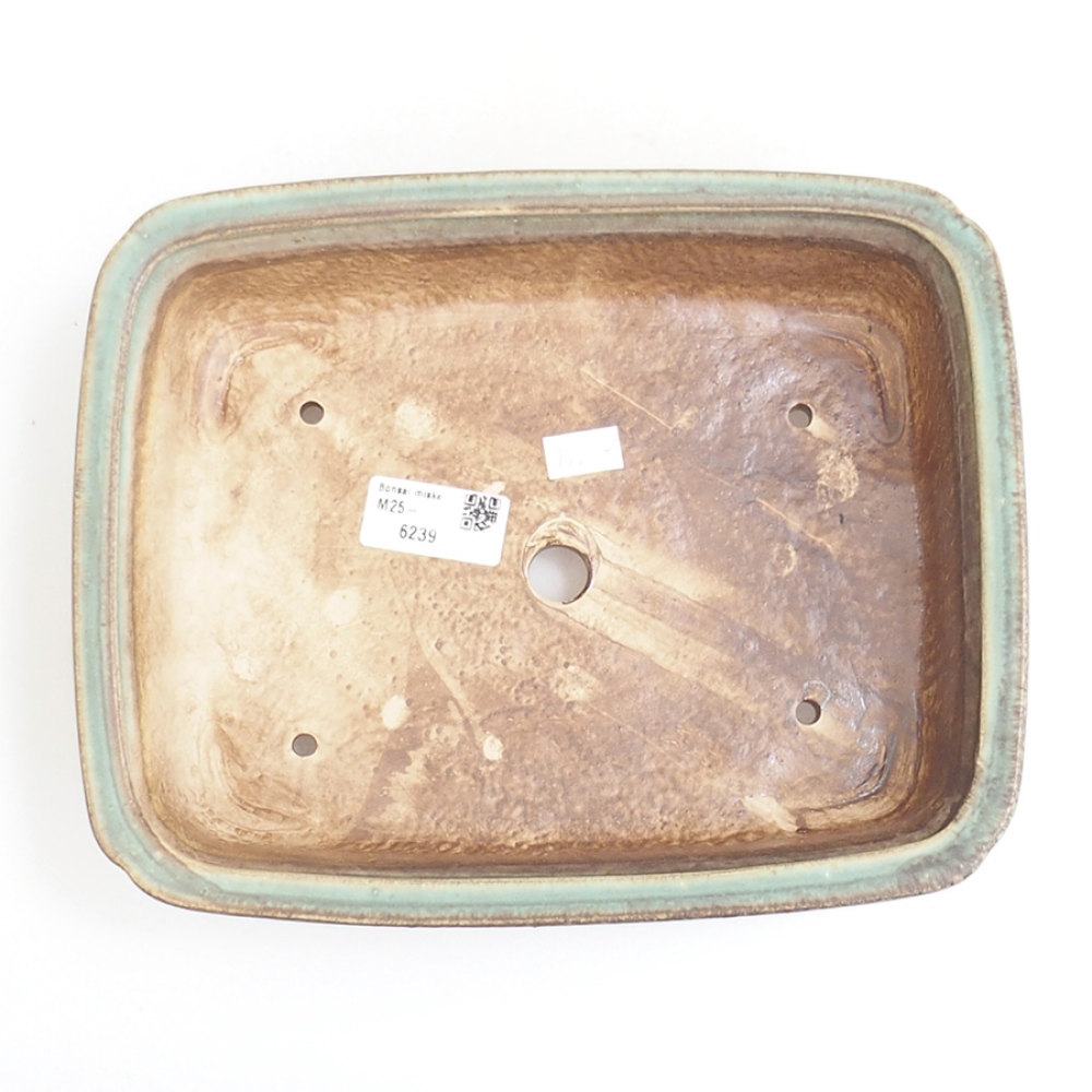 Cuenco bonsái de cerámica 24,5 x 19 x 7 cm, verde