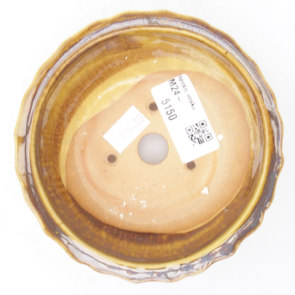 Cuenco bonsái de cerámica 11,5 x 11,5 x 5 cm, amarillo