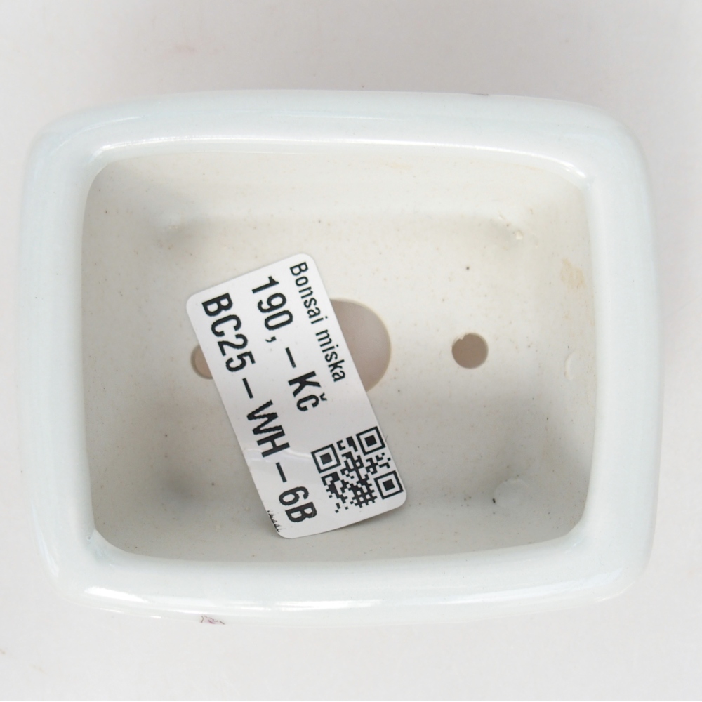 Cuenco mini bonsái 8 x 6,5 x 3,5 cm, blanco