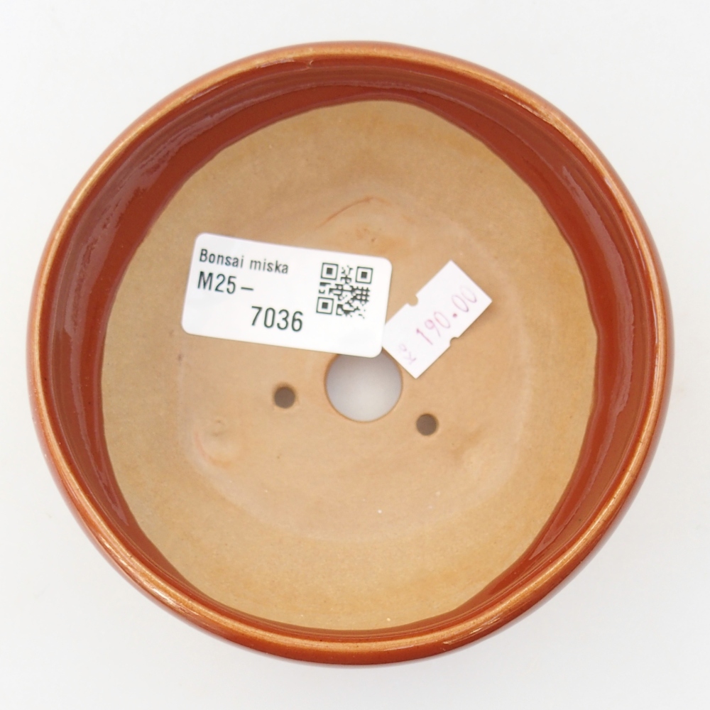 Cuenco bonsái de cerámica 10 x 10 x 5 cm, marrón