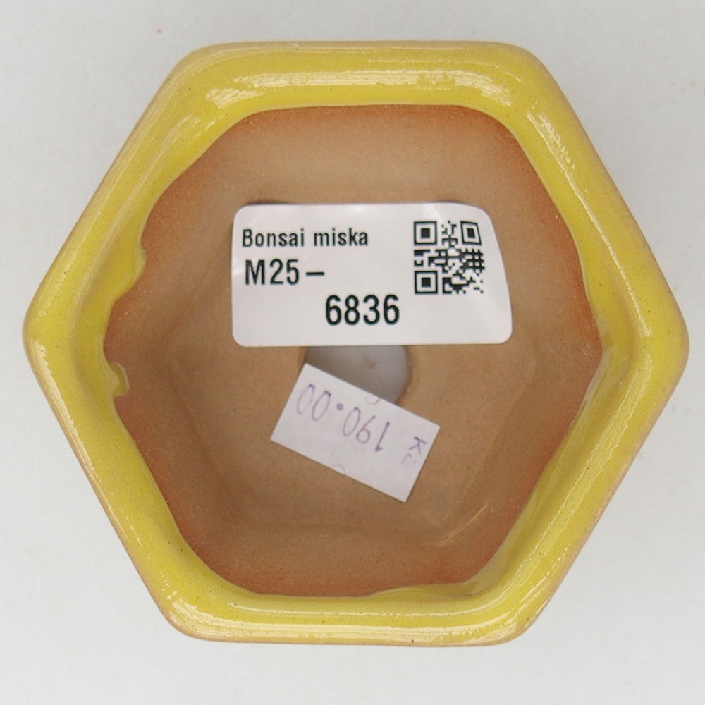 Cuenco bonsái de cerámica 7,5 x 7 x 4 cm, amarillo