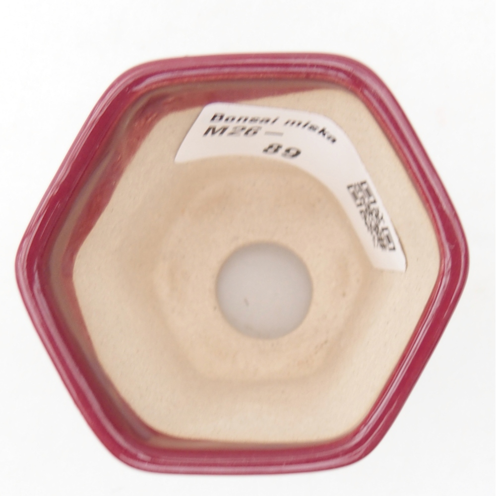 Mini cuenco bonsái 5,5 x 5 x 5 cm, color burdeos