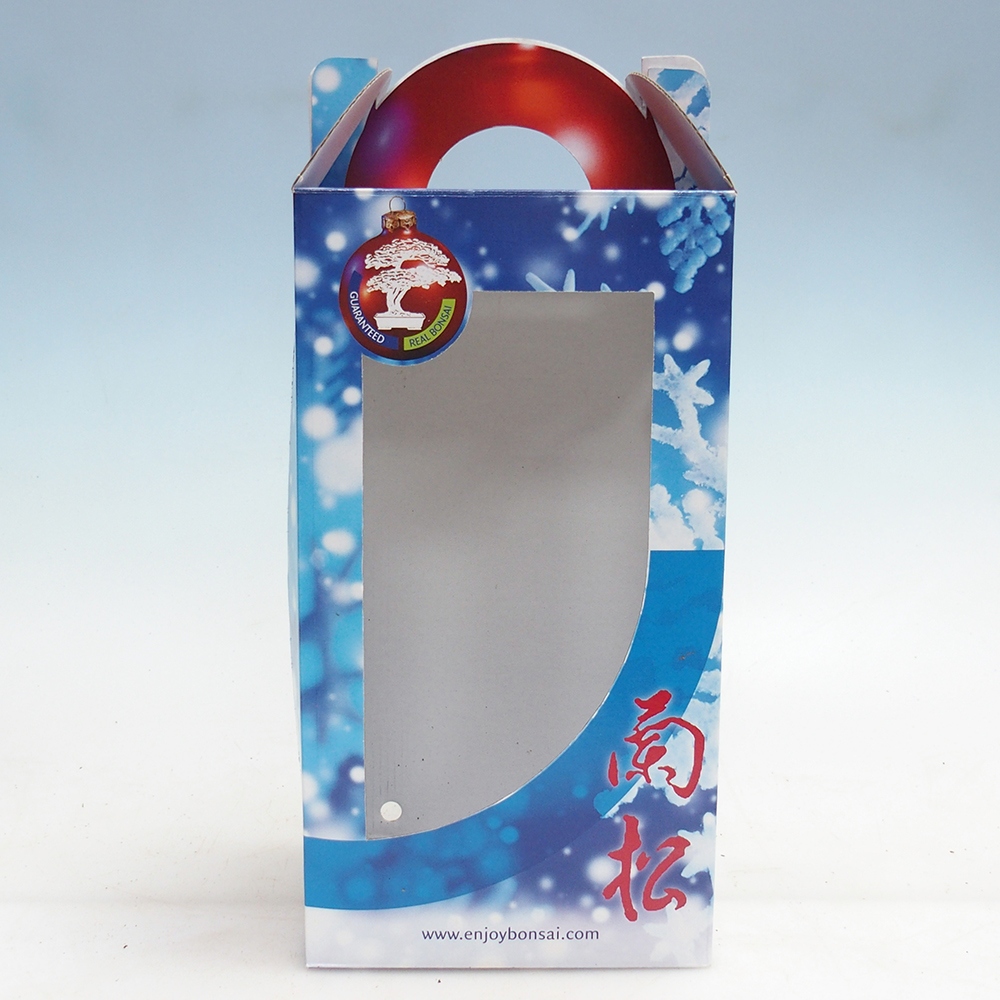 Caja regalo bonsái - papel