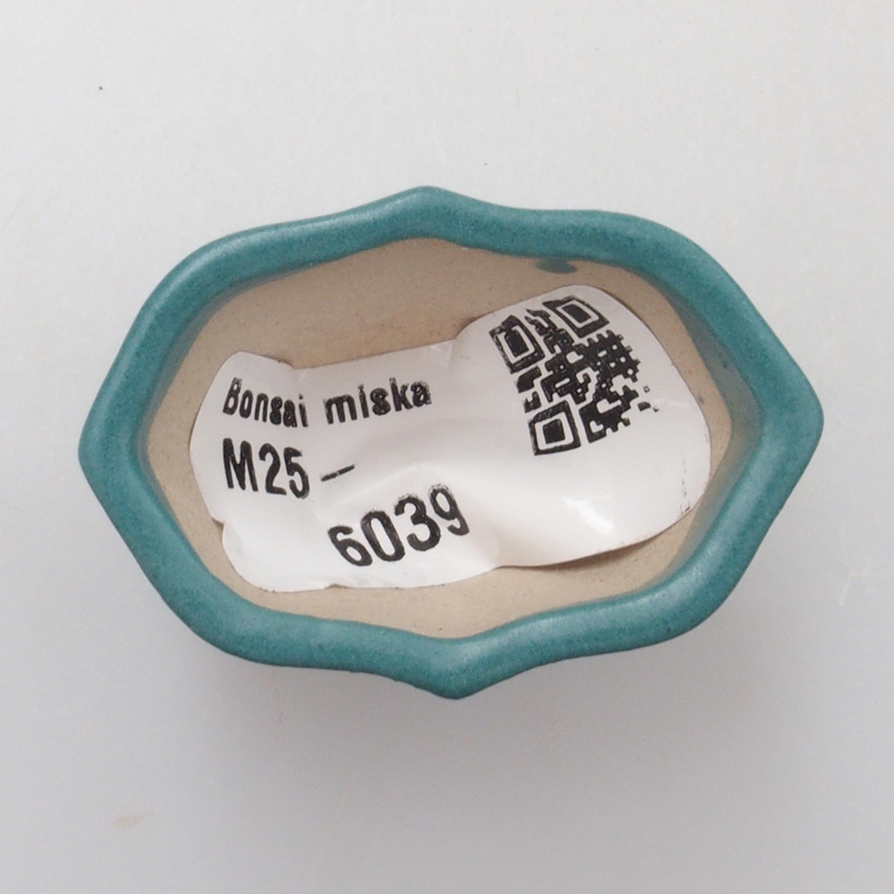 Cuenco bonsái de cerámica 6,5 x 5,5 x 4 cm, color azul
