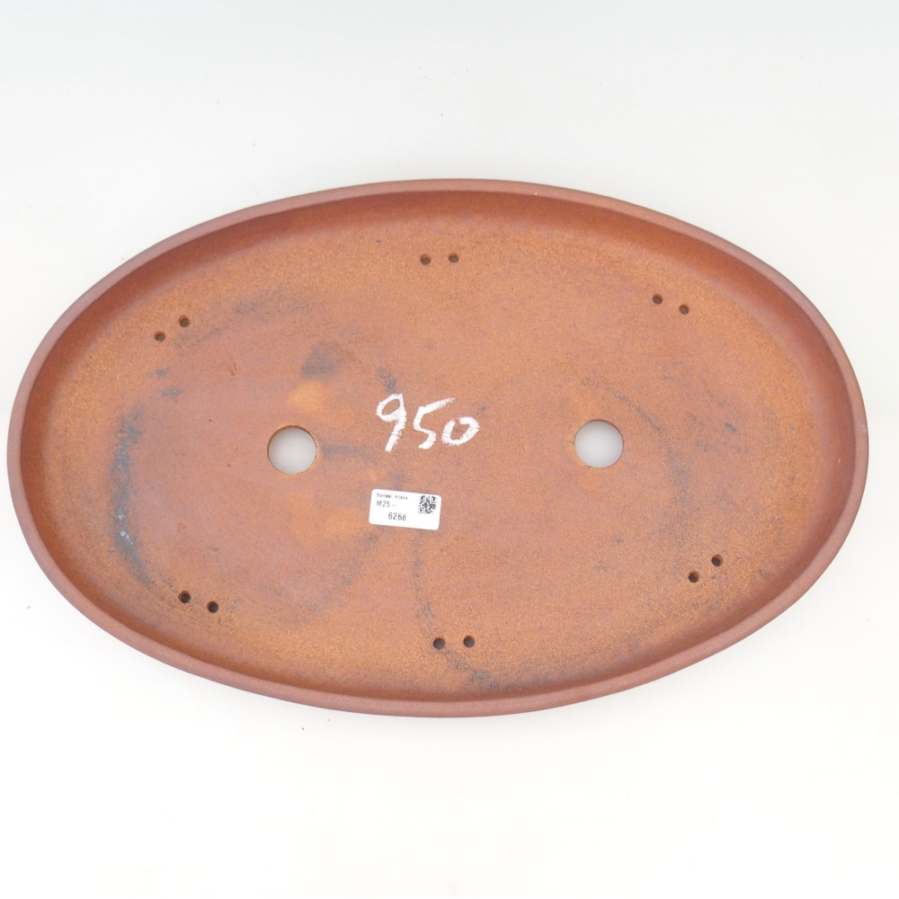 Cuenco bonsai 48,5 x 31 x 4,5 cm , color marrón - SOLO RECOGIDA PERSONAL O TRANSPORTE POR PALET