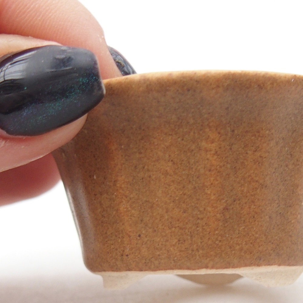 Mini cuenco bonsái 5,5 x 5,5 x 3 cm, marrón