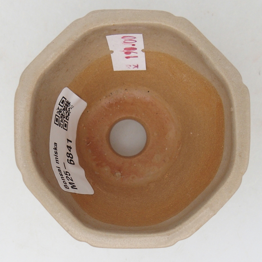 Cuenco bonsái de cerámica 7,5 x 7,5 x 6 cm, color beige