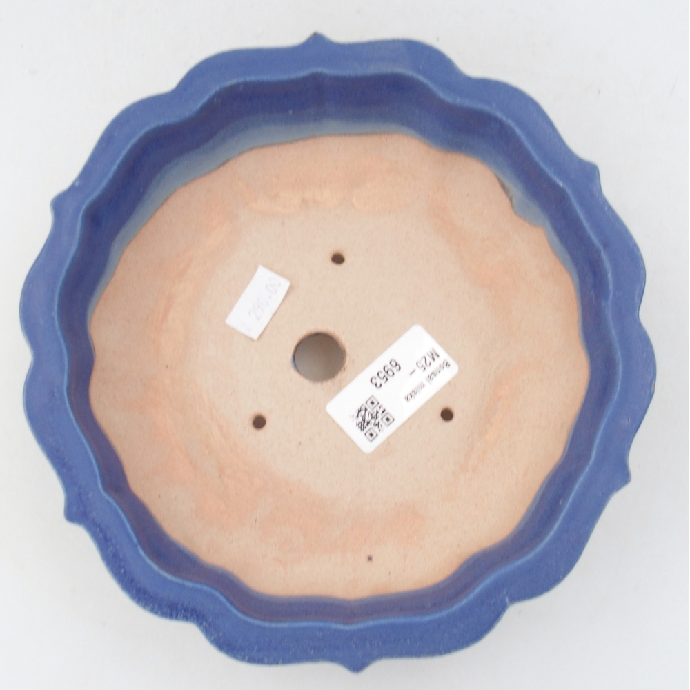 Cuenco bonsái de cerámica 19 x 19 x 5 cm, color azul