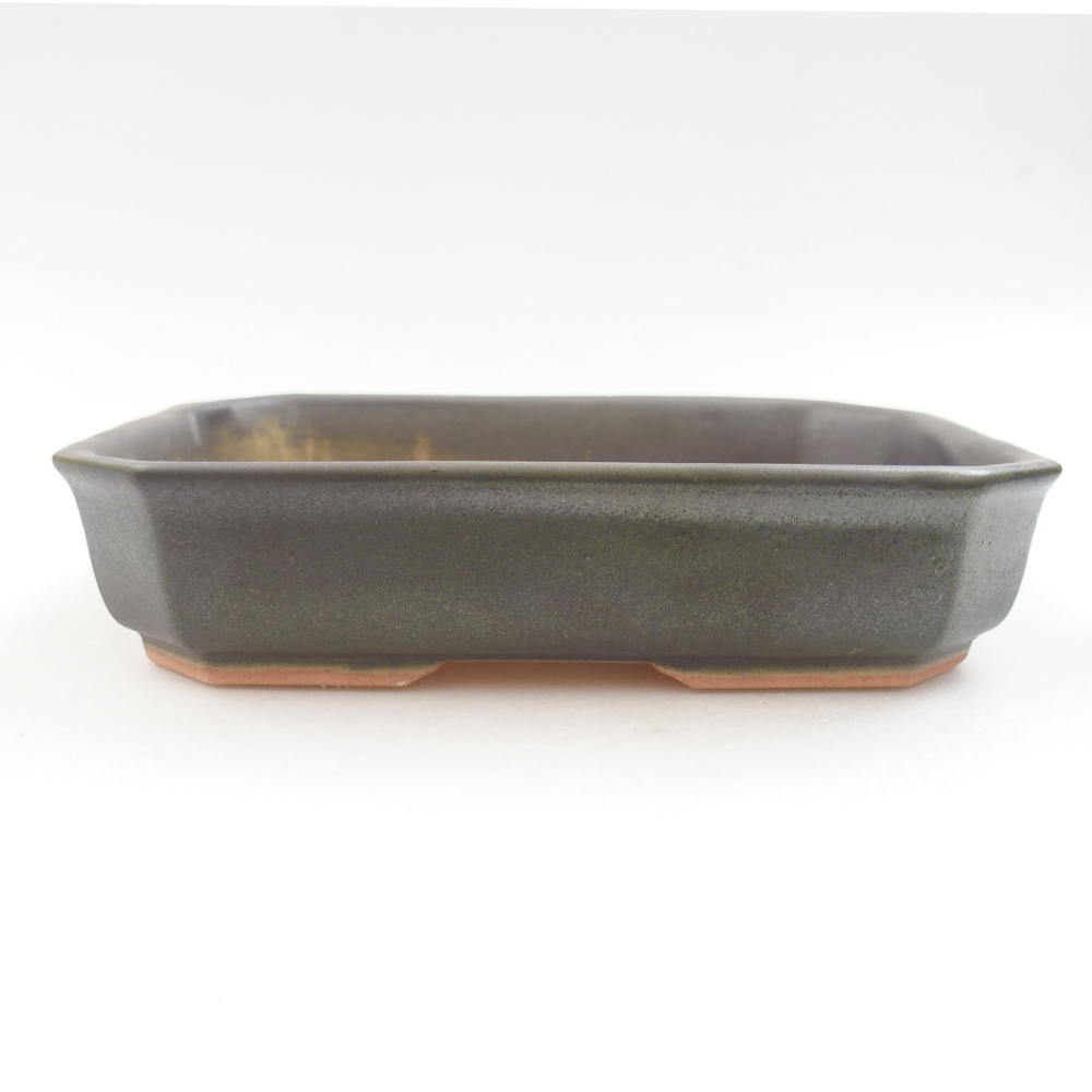 Cuenco bonsái de cerámica 22 x 17 x 5 cm, verde