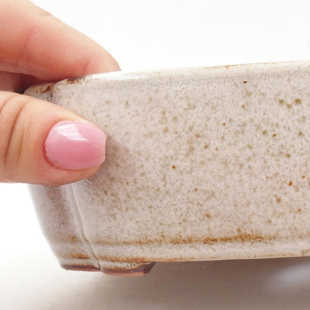 Cuenco bonsái de cerámica 18 x 13 x 5 cm, blanco