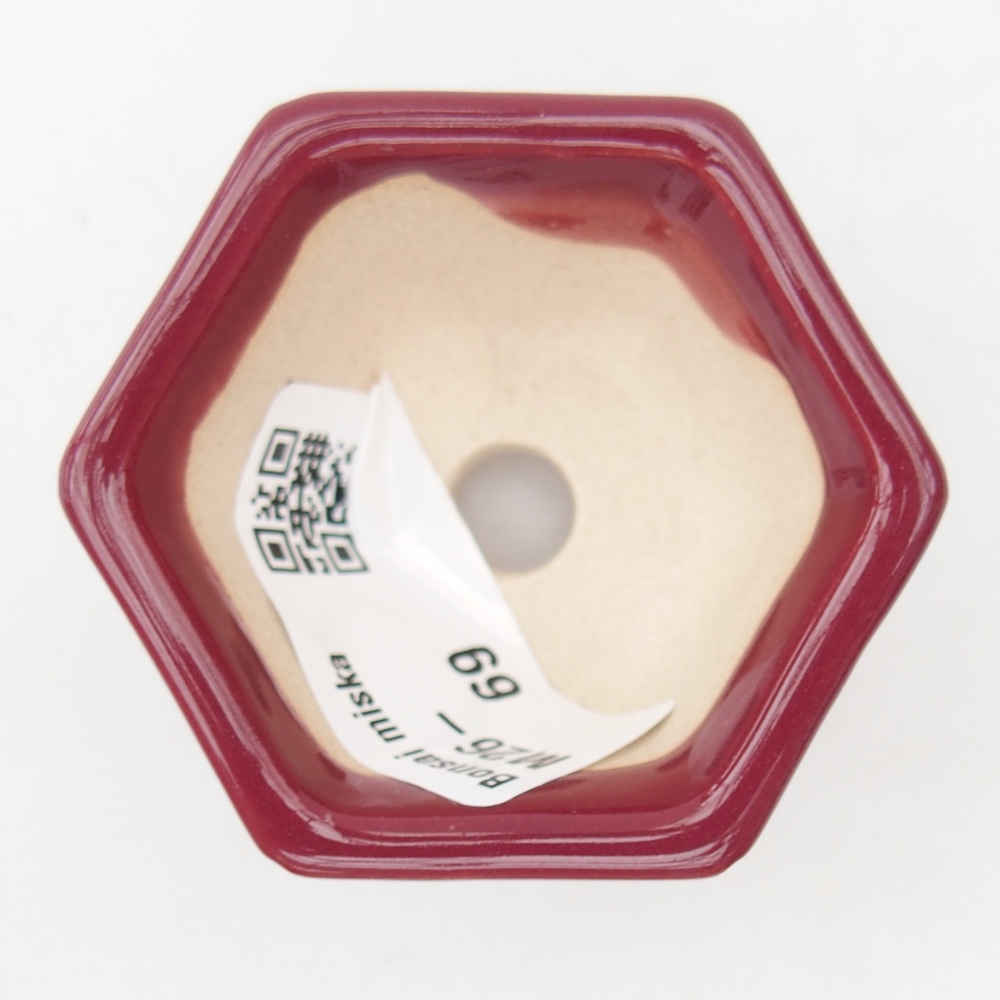 Mini cuenco bonsái 5 x 4,5 x 3 cm, burdeos