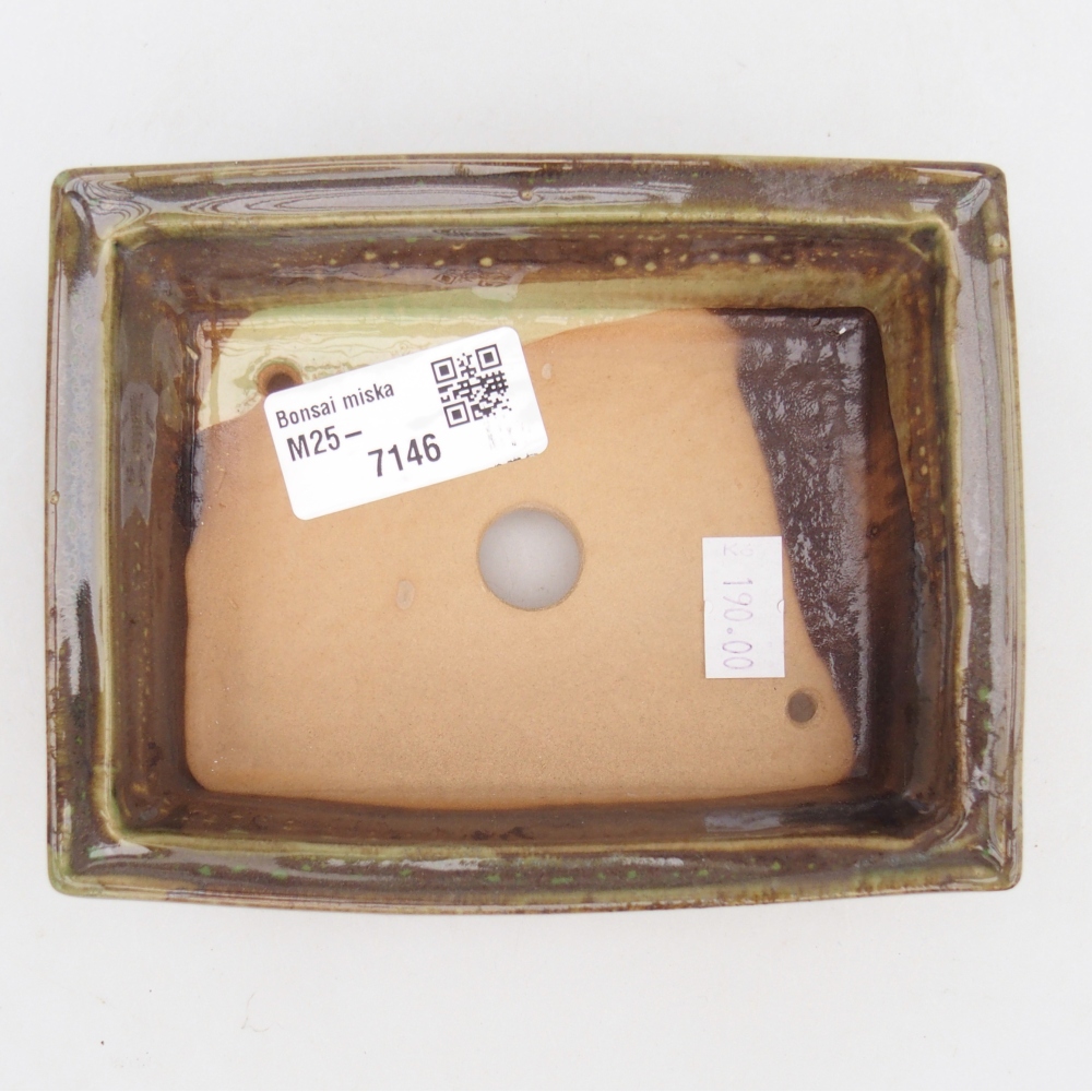 Cuenco bonsái de cerámica 13 x 10 x 4 cm, verde