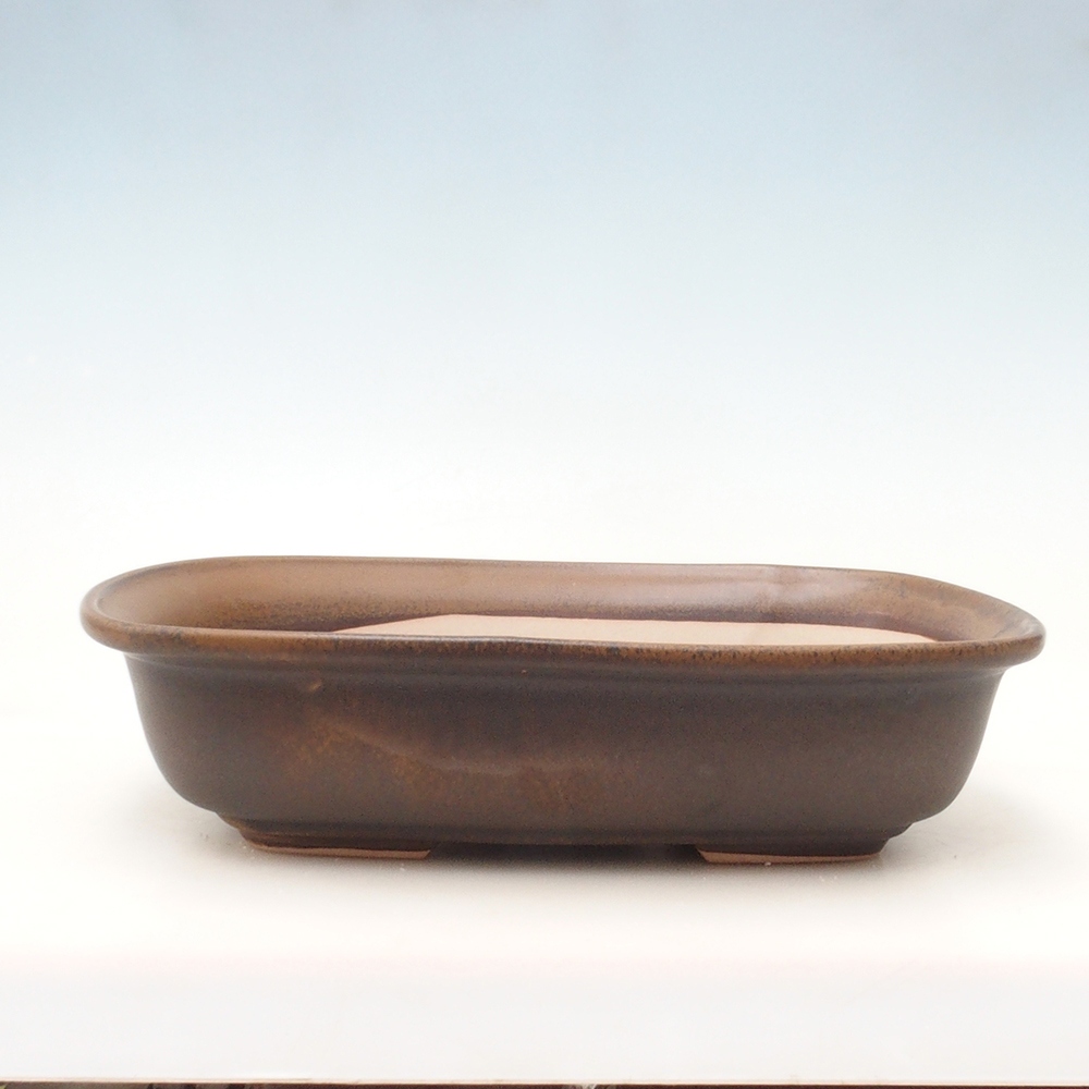 Cuenco bonsái + platillo H10 - 37 x 28 x 9 cm - marrón