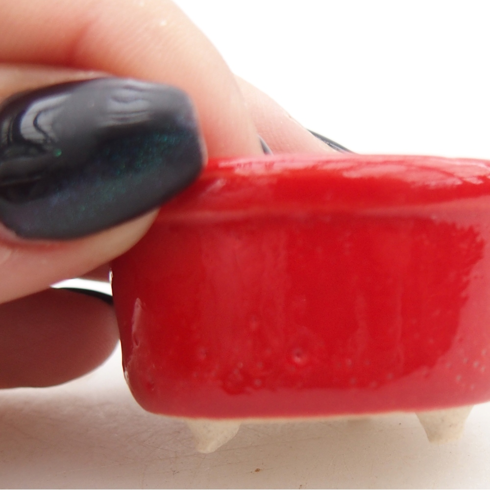 Cuenco mini bonsái 4 x 4 x 2,5 cm, color rojo