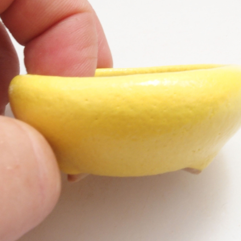 Cuenco bonsái de cerámica 5 x 5 x 2 cm, amarillo