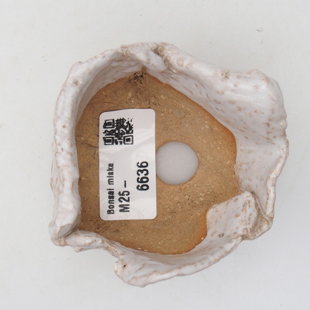 Concha de cerámica 8 x 7 x 4,5 cm , color blanco