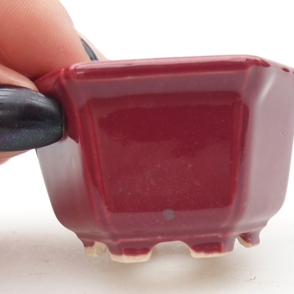 Mini cuenco bonsái 5 x 4,5 x 3 cm, burdeos