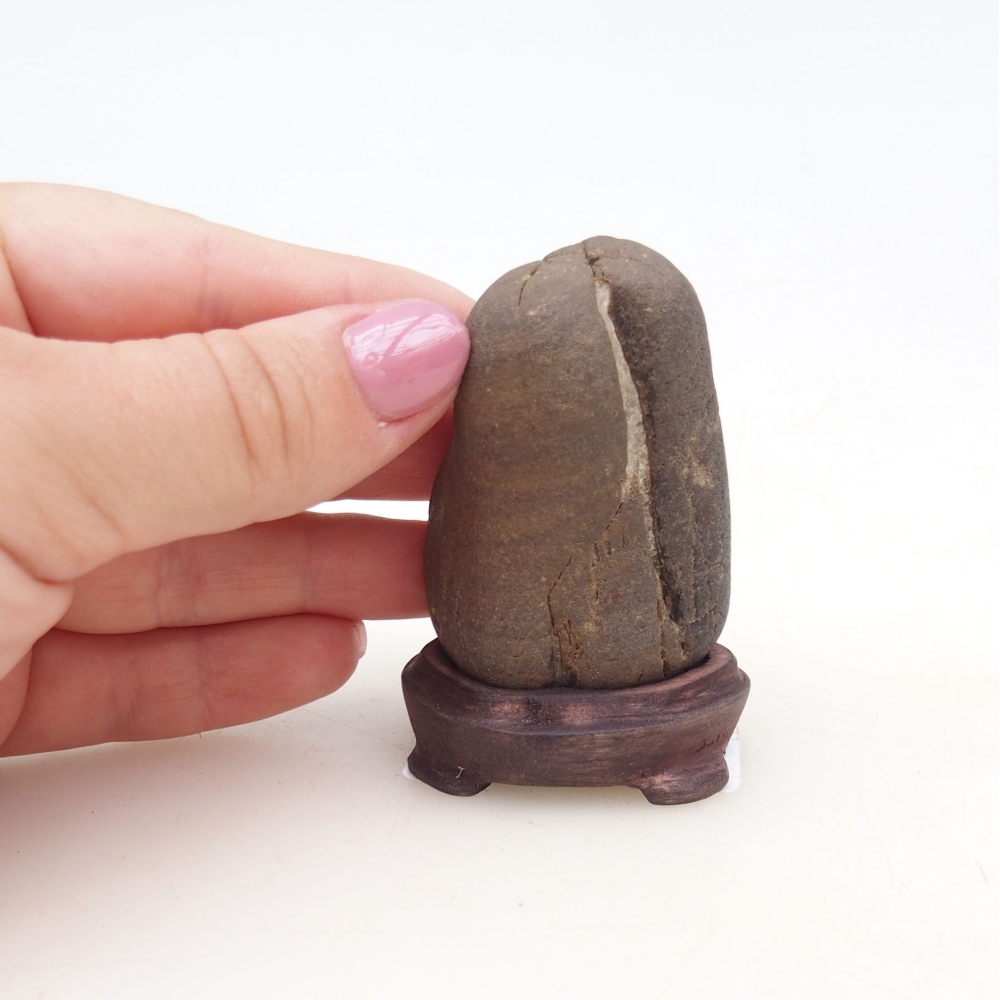 Suiseki - Piedra con DAI (base de madera)